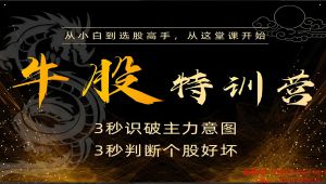 《牛股特训营》培训课程