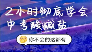 中考化学之酸碱盐专题讲解