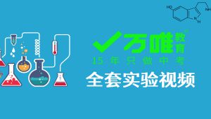 初中化学实验大全教学视频