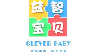 【2026早教】益智宝贝 全套视频