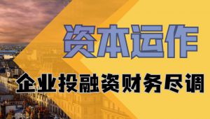 企业投融资财务尽调实务训练营