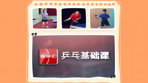 【乒乓基础课-合集】