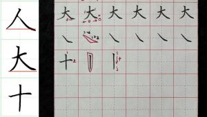 硬笔楷书课程【30节】