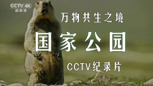 CCTV纪录片《国家公园·万物共生之境》全5集