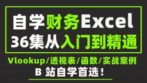 自学财务Excel从入门到精通：Vlookup/透视表/函数/实战案例全解析，送配套学习课件，手把手带你玩转Excel动态报表制作，解决零基础