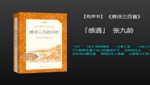 《唐诗三百首详析》