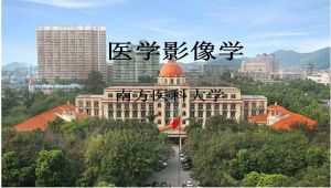 医学影像学   南方医科大学