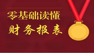 零基础读懂财务报表 教程视频