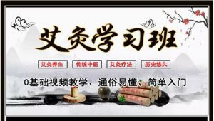 艾灸疗法视频教程零基础入门