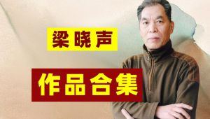 【梁晓声】作品合集系列 学习视频教程