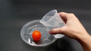 儿童趣味科学实验全集-趣味学科学 全套视频