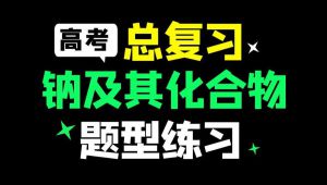 【高考总复习】钠及其化合物专题讲解 教学课程