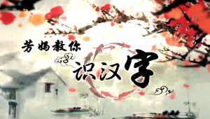 教你识汉字 全套视频