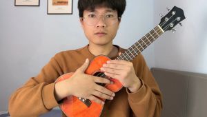 尤克里里零基础入门到进阶系统教学全150集【完整版私】