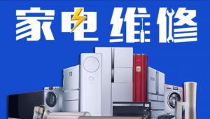 零基础十天学会家电维修