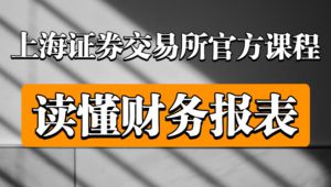 【上海证券交易所】《投资者培训系列课程》读懂财务报表、招股说明书 教程视频