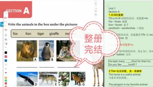 人教七年级下册英语课文精讲 学习视频