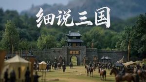 【细说三国】深度剖析（428集全） 学习视频教程