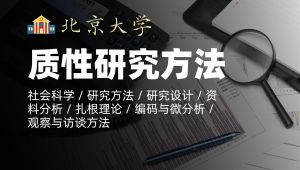北京大学《质性研究方法》公开课 教学视频