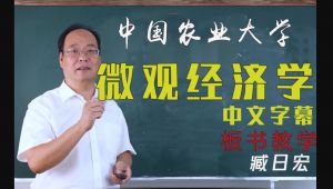 【中国农业大学】微观经济学原理 臧日宏精品课 教学视频