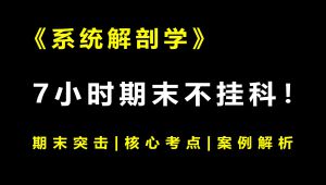 《系统解剖学》期末速成丨考前突击 教学视频