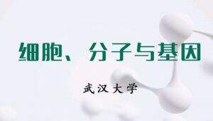【武汉大学】细胞、分子与基因精品课