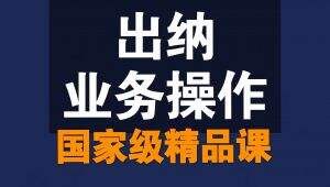 出纳业务操作【全80讲】 教学视频