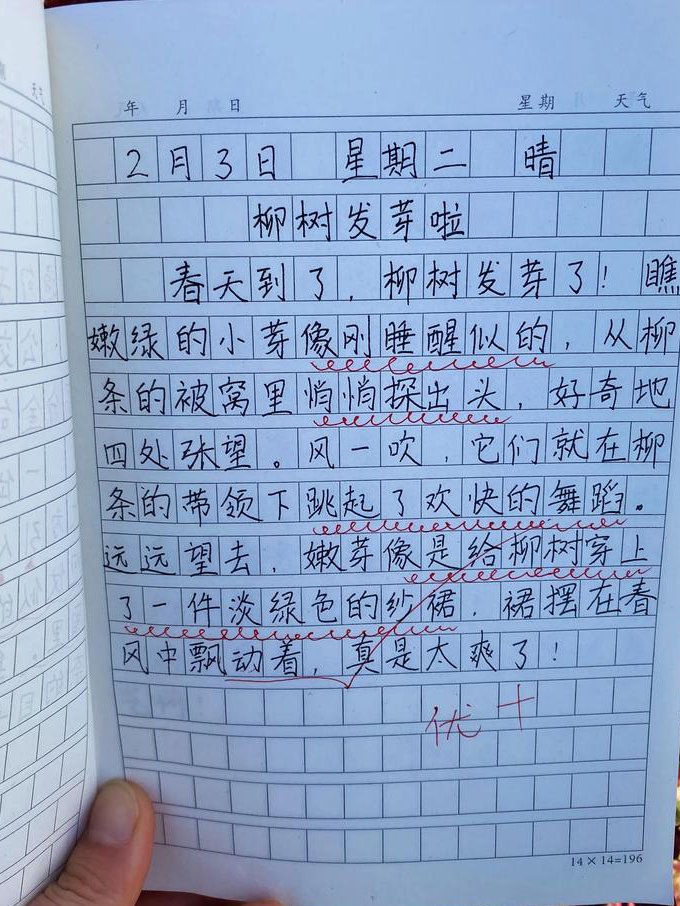 跟名师学作文辅导视频【1~3年级】 - 小学生写作