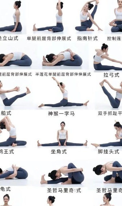 瑜伽基础视频教程 - 瑜伽基础