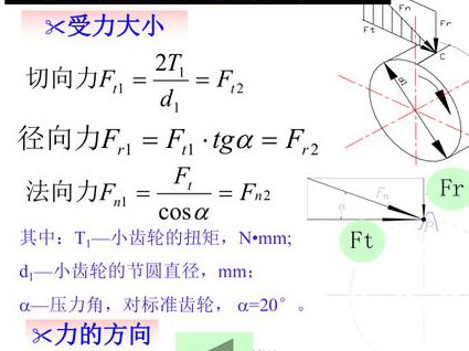 徐旋教你打好乒乓球教学视频 - 力学分析