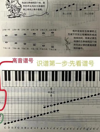 乐理基础入门教程（38课时） - 五线谱基础