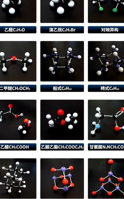 高中生物1对1辅导视频 - 分子结构