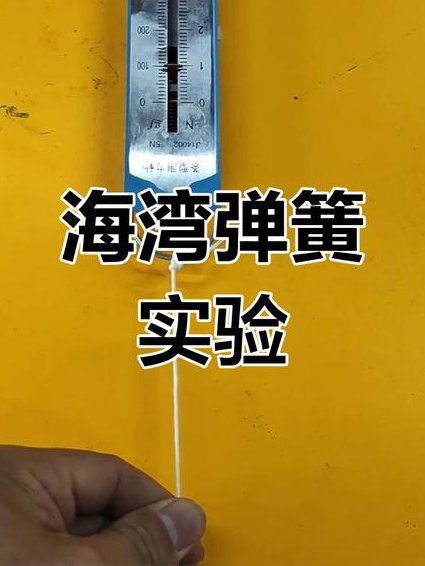 2020学而思初二物理辅导课程（20讲） - 物理实验