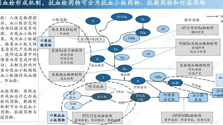 药理学考试课程视频 - 药物作用机制