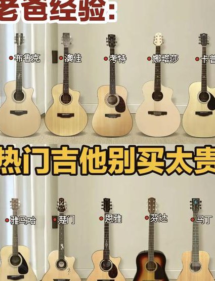 小左吉他.吉他初学教程 - 吉他类型