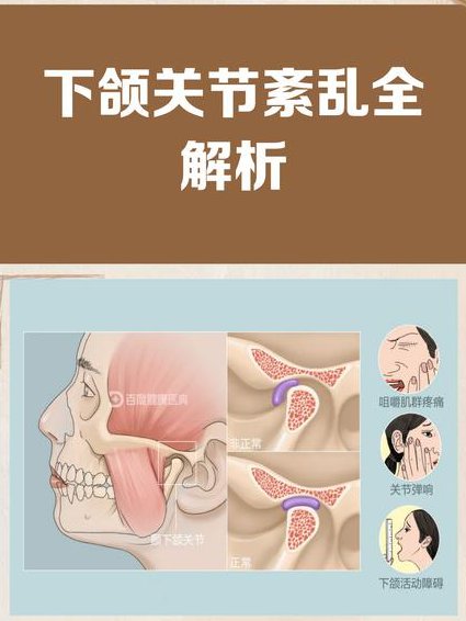 口腔解剖生理学课程 - 颞下颌关节