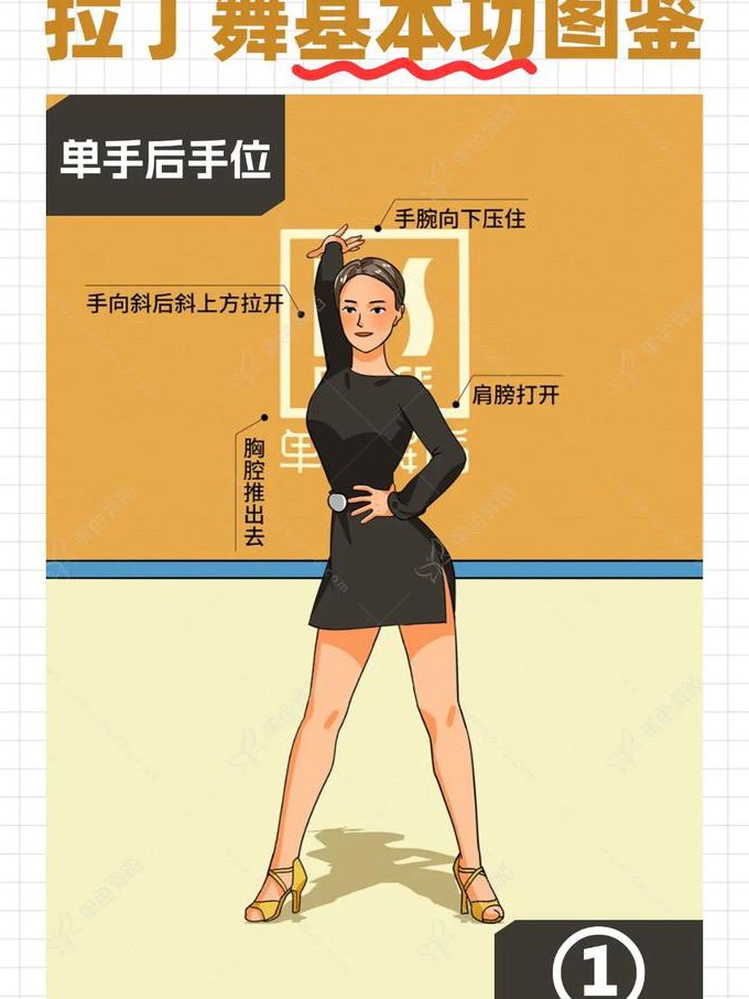 拉丁舞基础教学大全 - 拉丁舞基本功