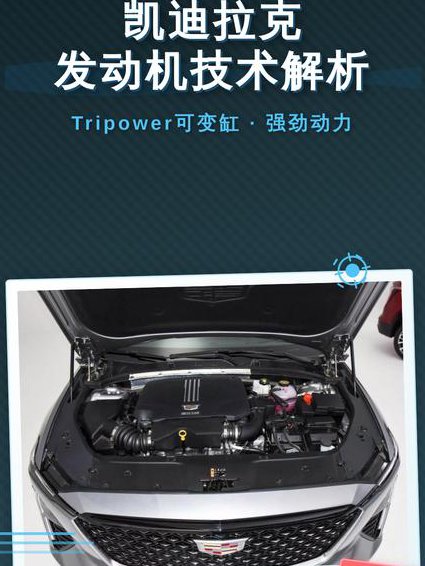 乒乓球国家队训练视频 - 技术解析