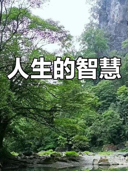 百家讲坛《穿越春秋品管仲》 - 智慧