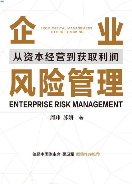 项目管理教学视频 - 风险管理