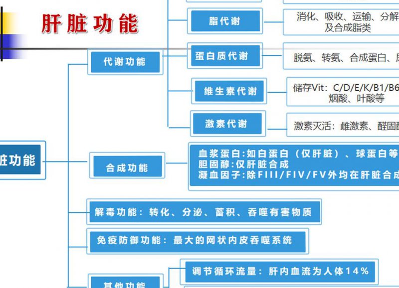 资深医师解答-肝脏疾病 - 肝功能
