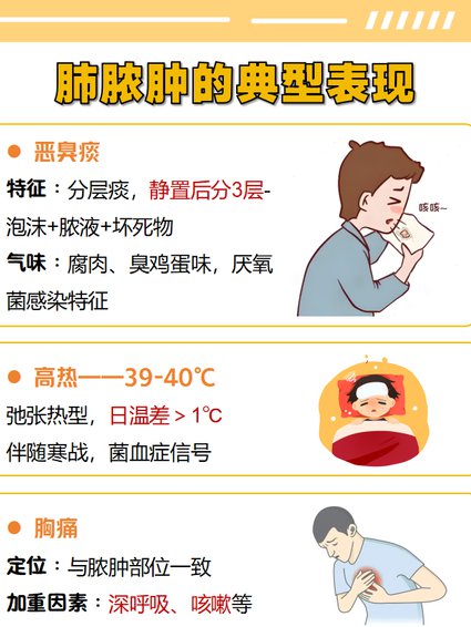 泌尿系统疾病教学视频 - 病症解析
