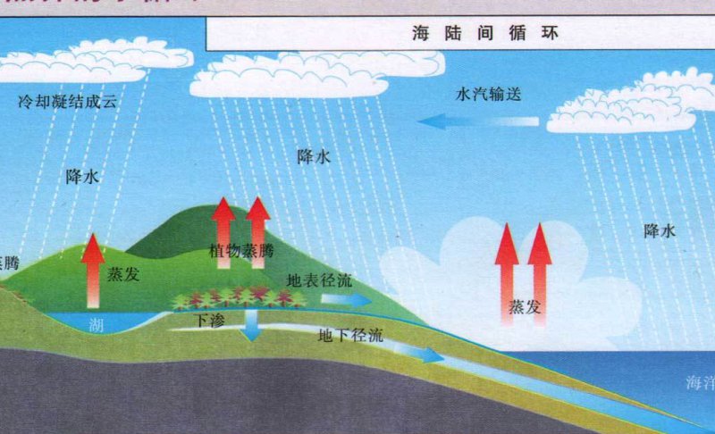 环境水力学及水质模型 （全50讲） - 水循环