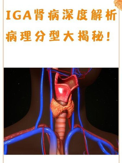 病理生理学【华中科技大学】 - 病理图解