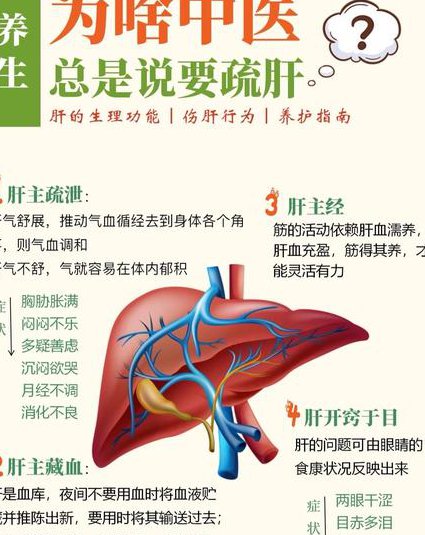 彭鑫中醫博士讲座全集 - 中医养生