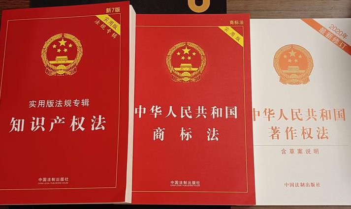 中南财经政法大学-知识产权法学教学视频 - 知识产权法