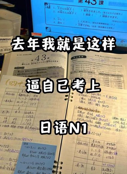 の森　日语JLPT N1语法讲解 - 日语考试