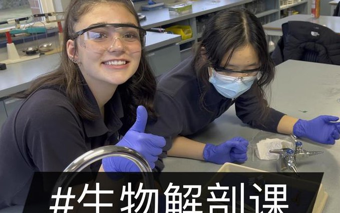 复旦大学--局部解剖学课程 - 解剖操作