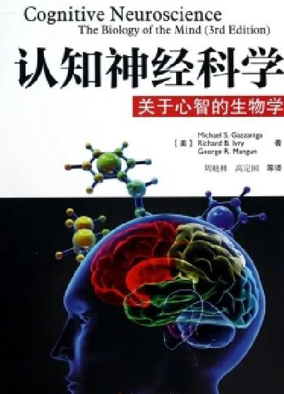 MIT《神经计算导论》课程 - 脑科学