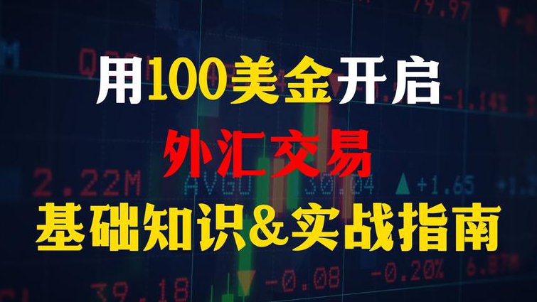 外汇基础视频讲解 - 外汇交易